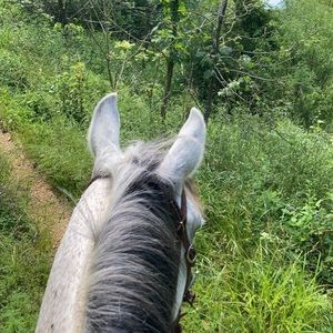 Meet your Posher, Maycee